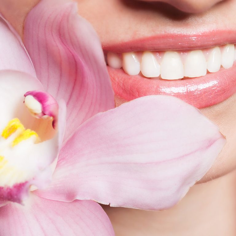 Dental-Spa-04-1180x770px